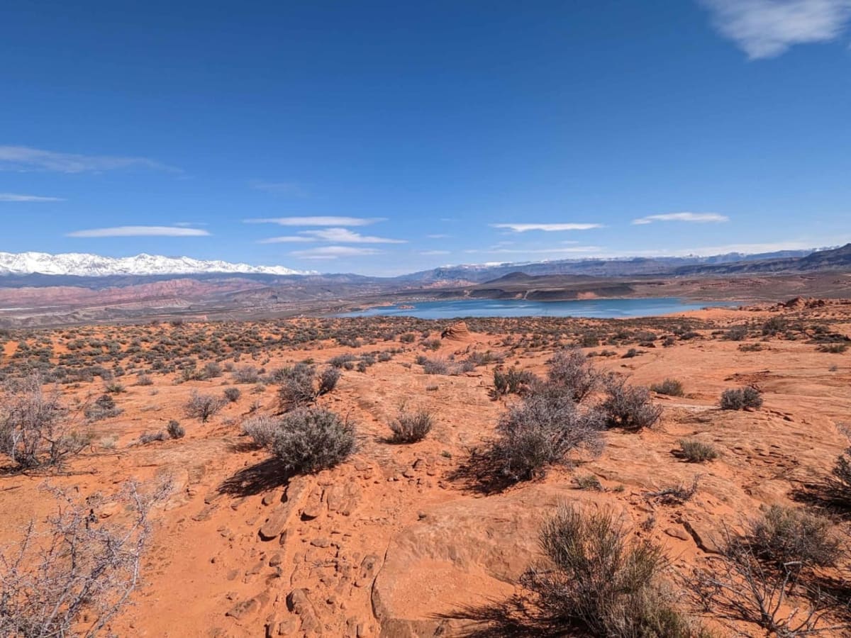 Milt's Mile Lite trail photo