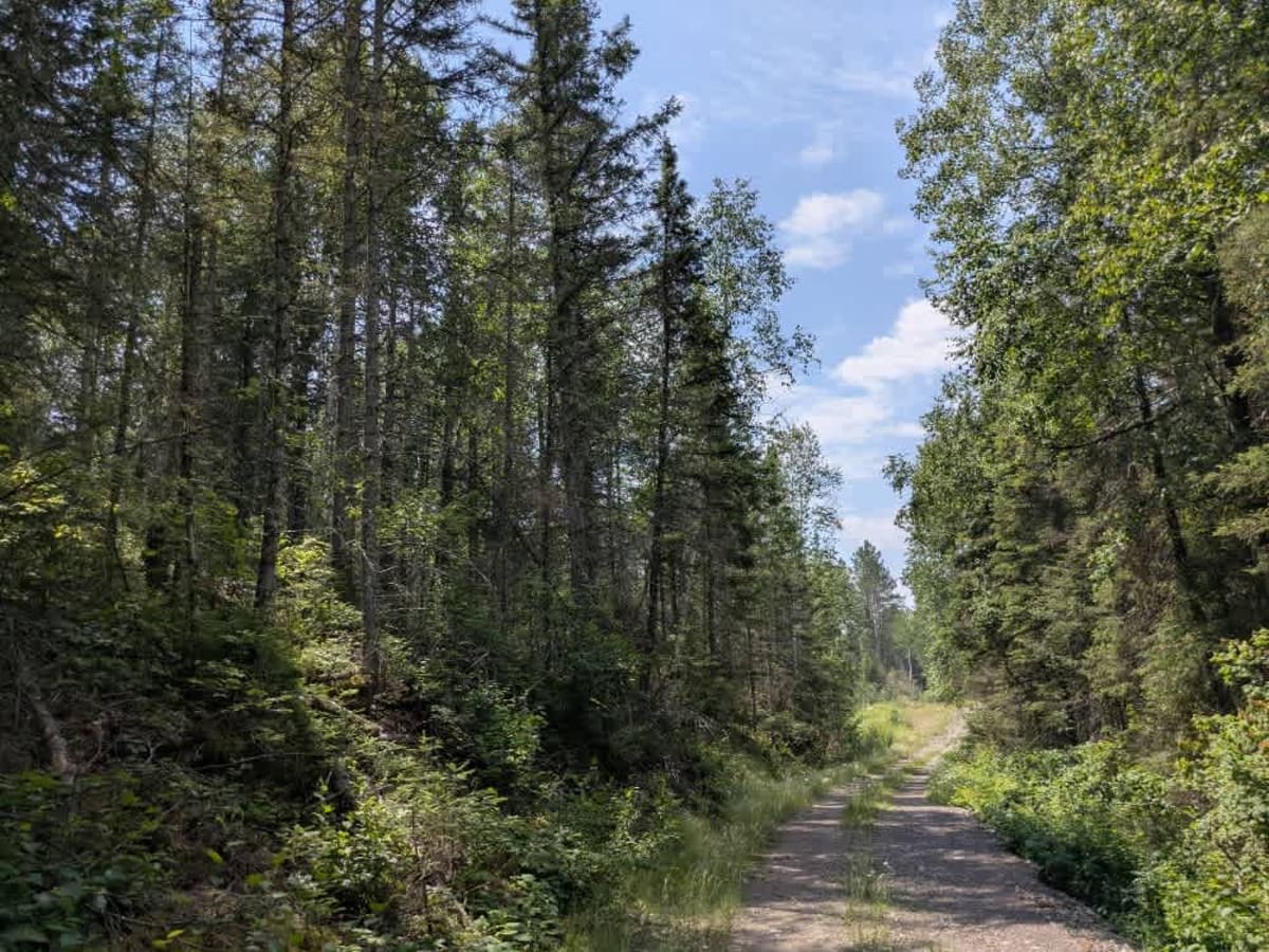 Edward Lake photo 2