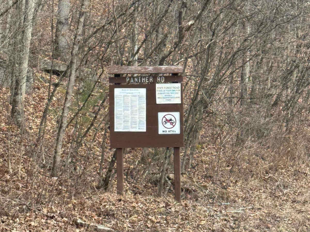 Panther Road photo 2