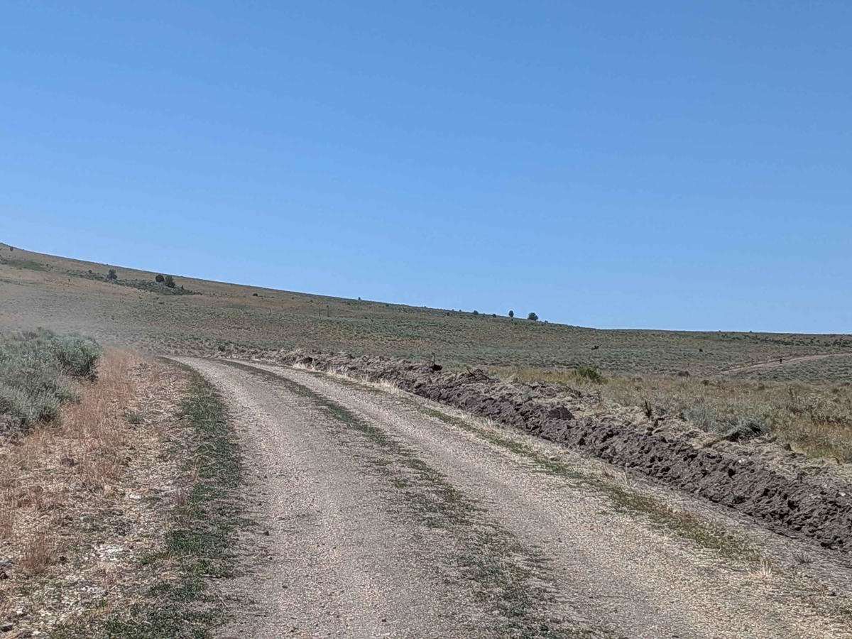 Mahogany Gap Road trail photo