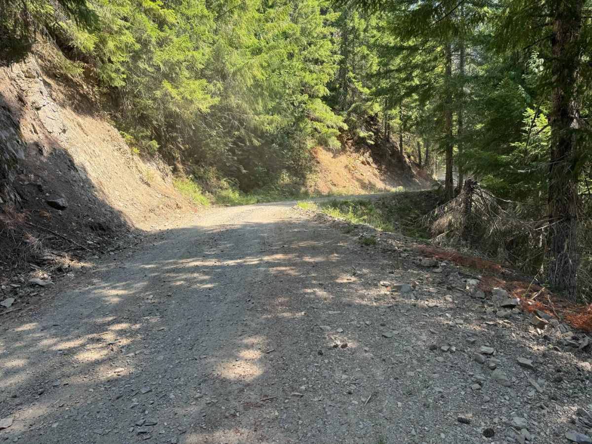Evergreen Mountain photo 4