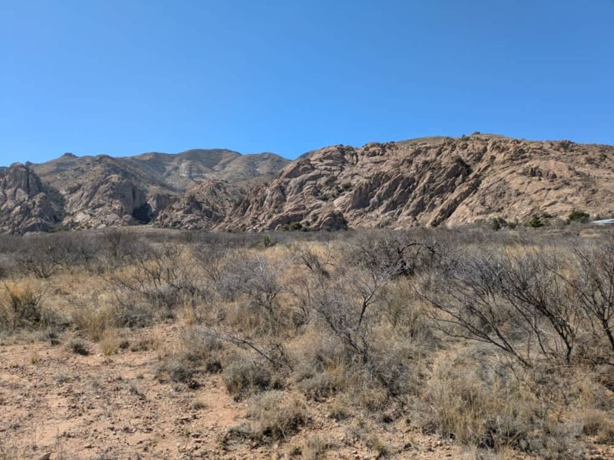 Blacktail Hill photo 4
