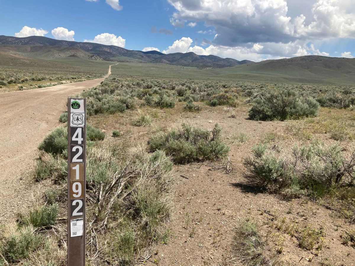 Microwave Road FS 42192 photo 5