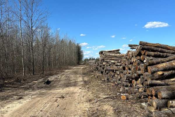 Mack Road