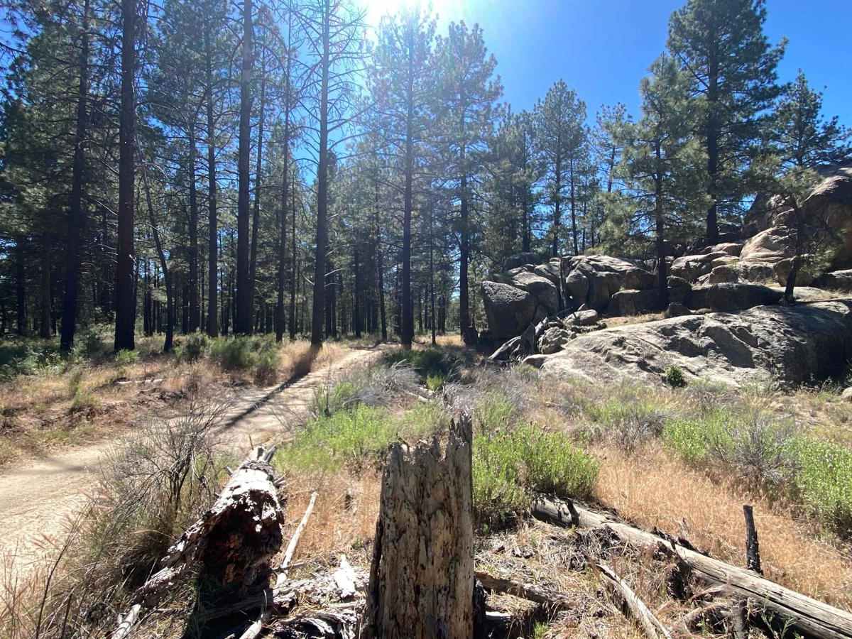 Cerro San Pedro Out and Back trail photo