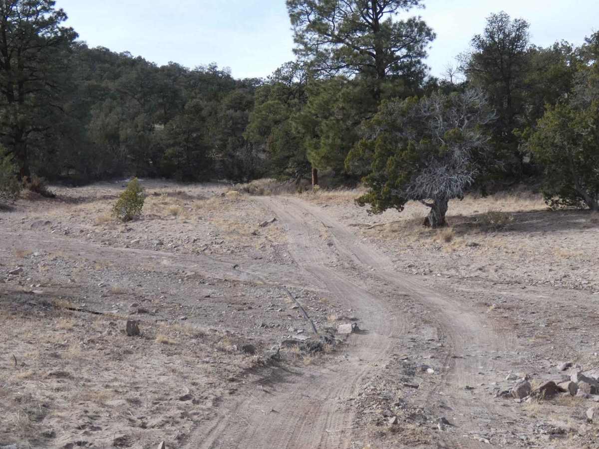 McGee Spring photo 6