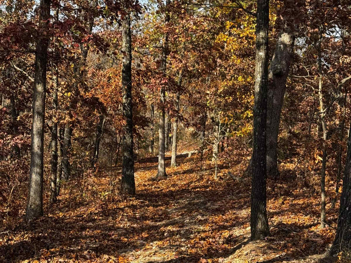 X3 Hill photo 3