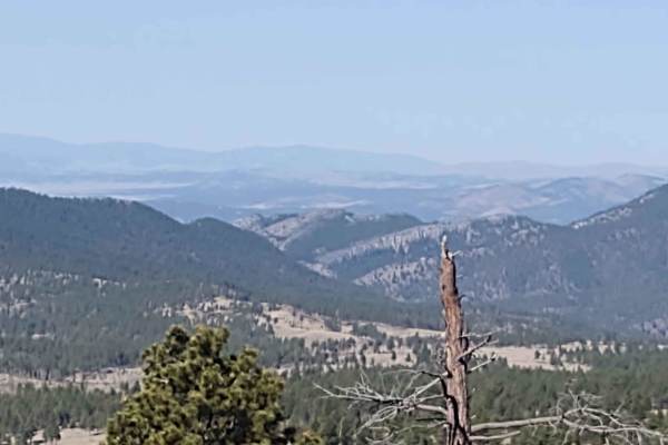 Oregon Gulch