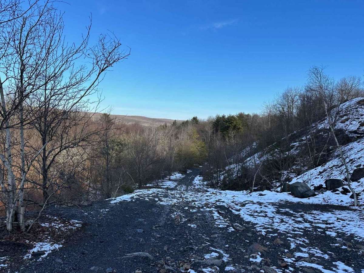 Locust Gap 35 trail photo