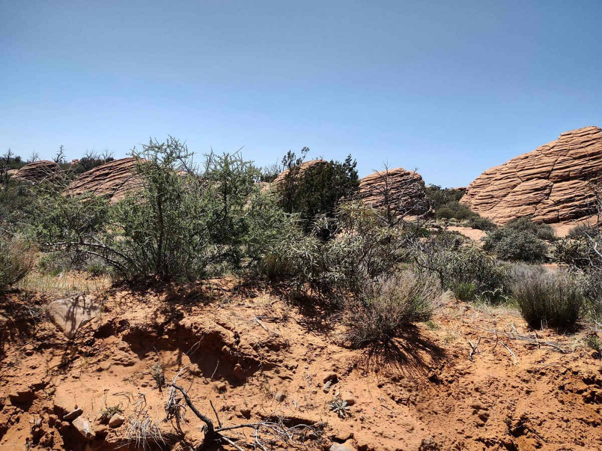 Energy Corridor Rd to Manganese Spring photo 2