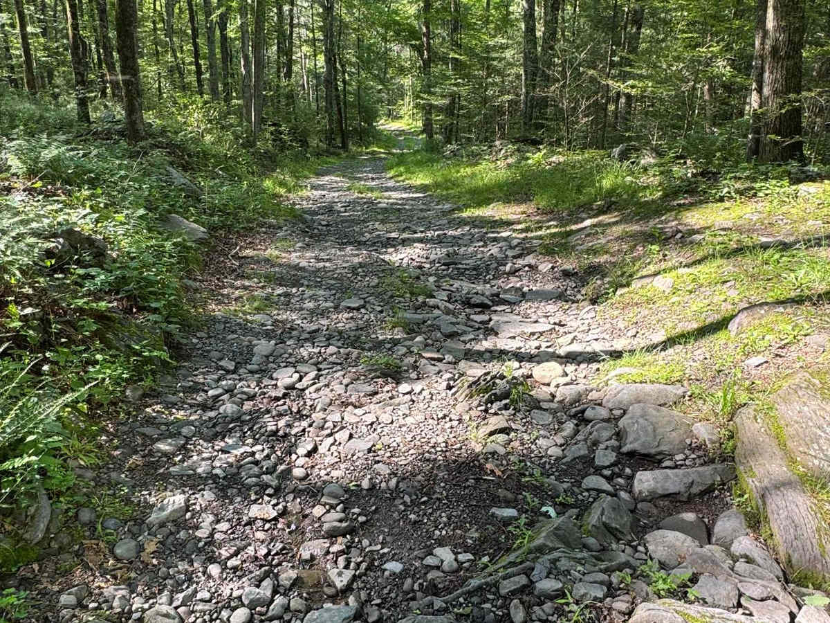 Lundy Road photo 6