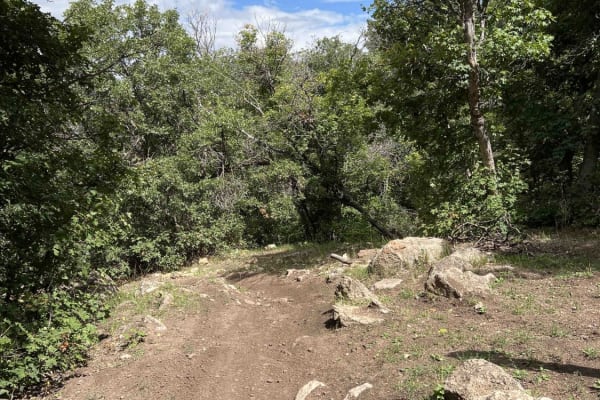 Kirkman Hollow (8012)