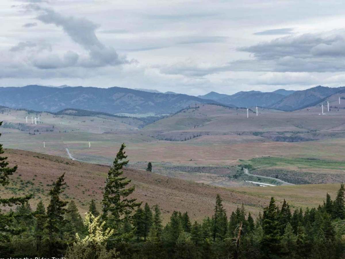 Tamarack Ridge Road photo 3
