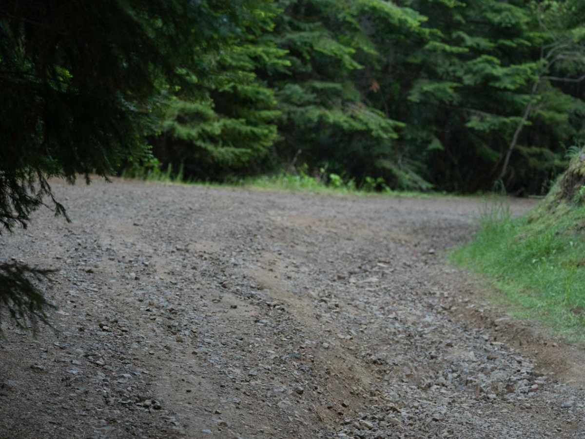 Craig's Cabin Road photo 4