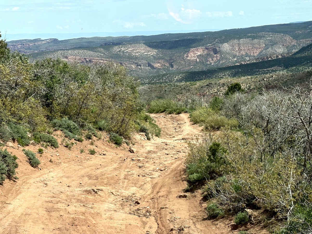 Kokopelli Trail (Castle Valley Overlook to Sand Flats Road) photo 6