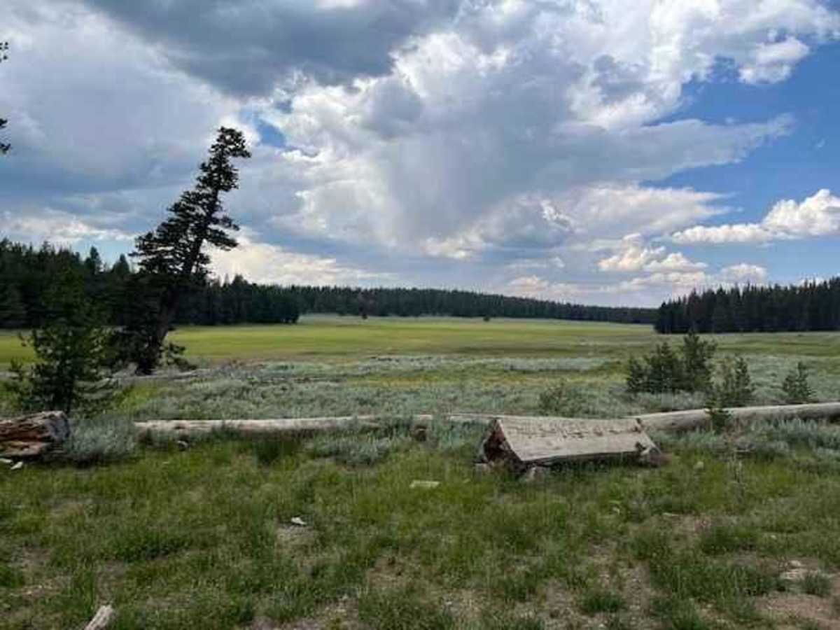 Hunter Lake trail photo