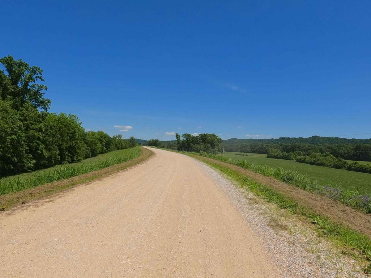 Muddy Levee Road photo 3