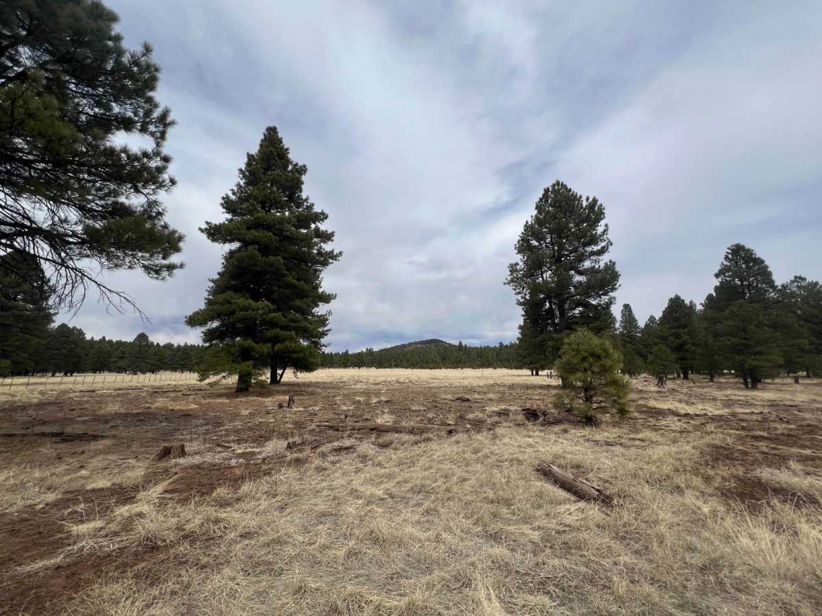 Elk Run photo 4