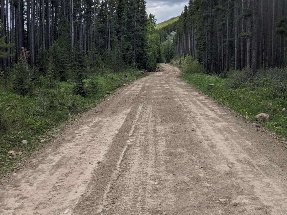 Alexander Creek Forestry Road photo 5