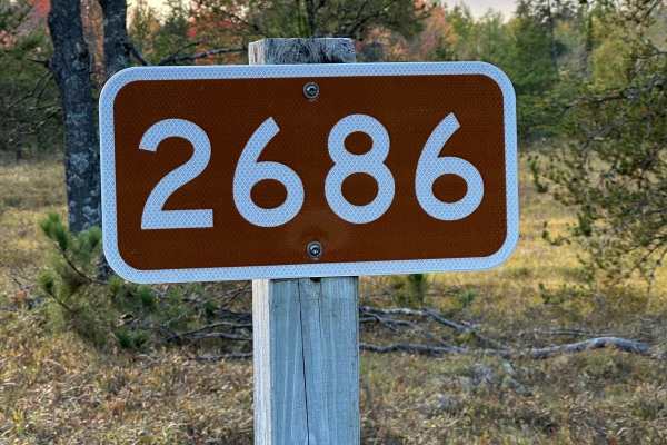 Bog Lake - FS 2686