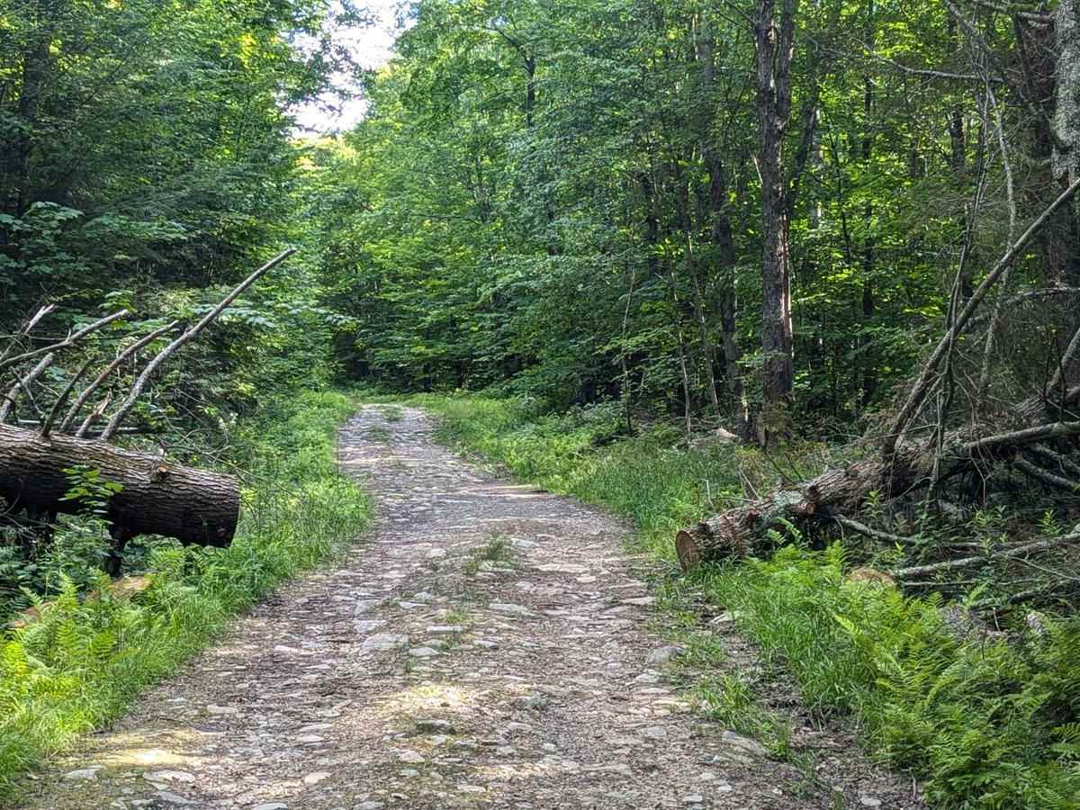 Old Rootville Road photo 4
