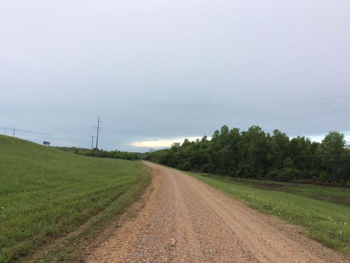 Three Rivers WMA - Grand Bay Trail photo 6