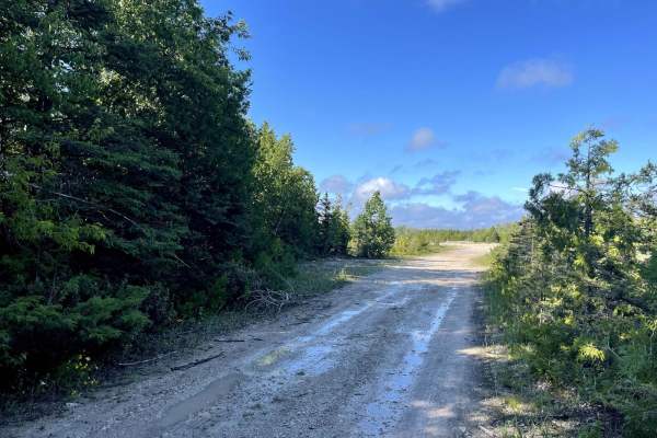 Gamble Lake Trail
