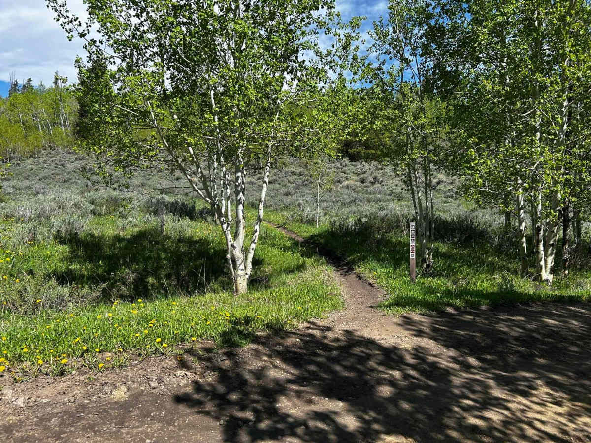 Synder Creek Loop Northwest photo 3