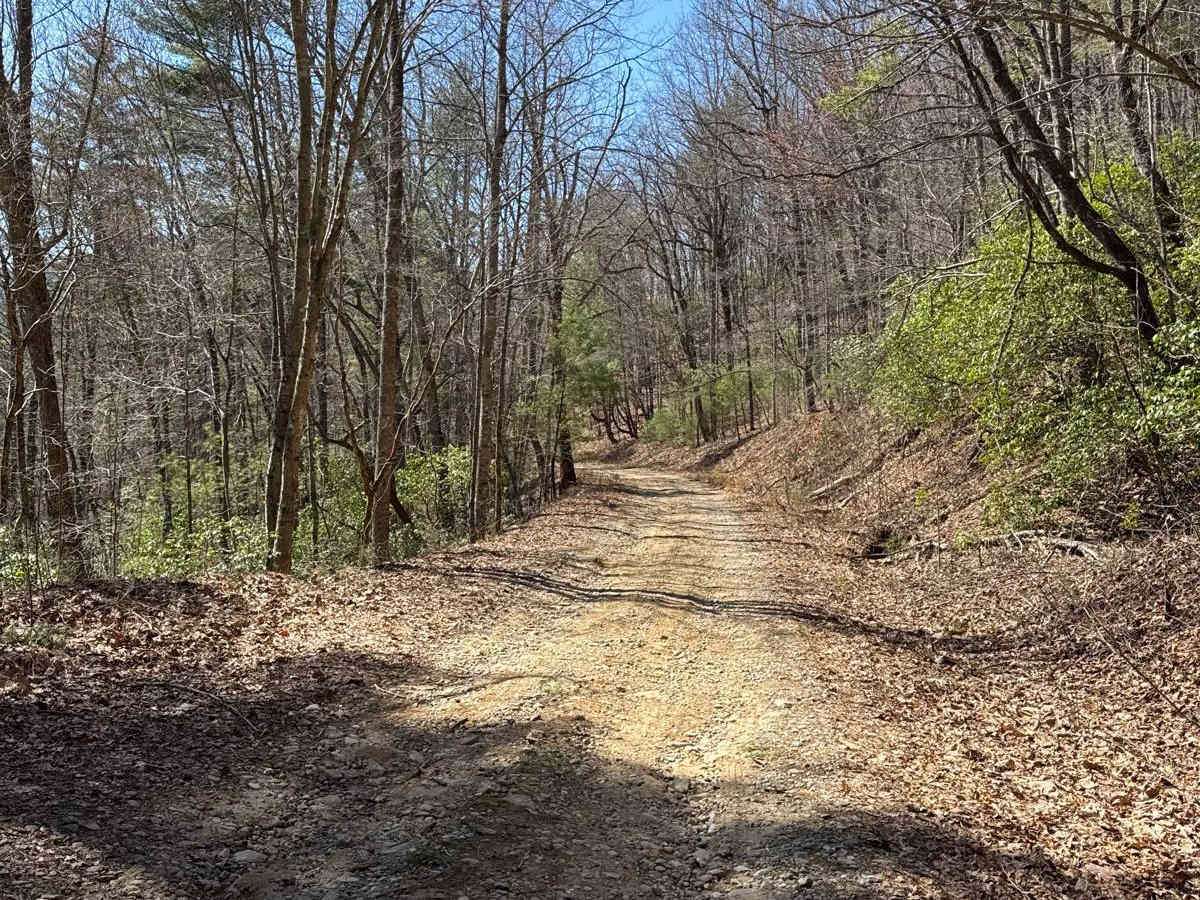 Corbin Creek - FR 698 photo 5