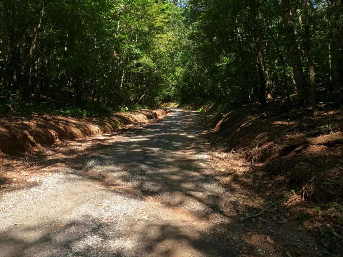 Locust Stake Road photo 4