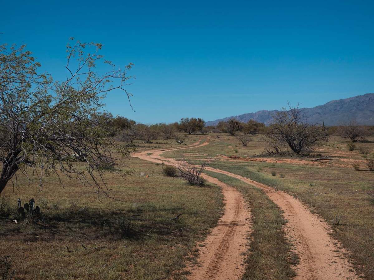 Bravo Wednesday trail photo