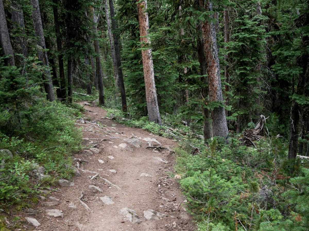 Golden Trout Lakes #83 photo 6