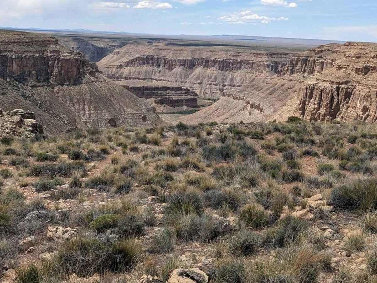 Gunsight Canyon Overlook -BLM179-180 photo 6