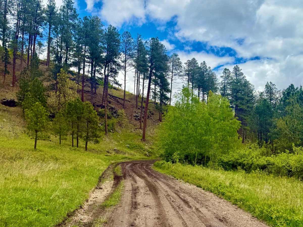 Johnson Gulch - FS 674.1A photo 4