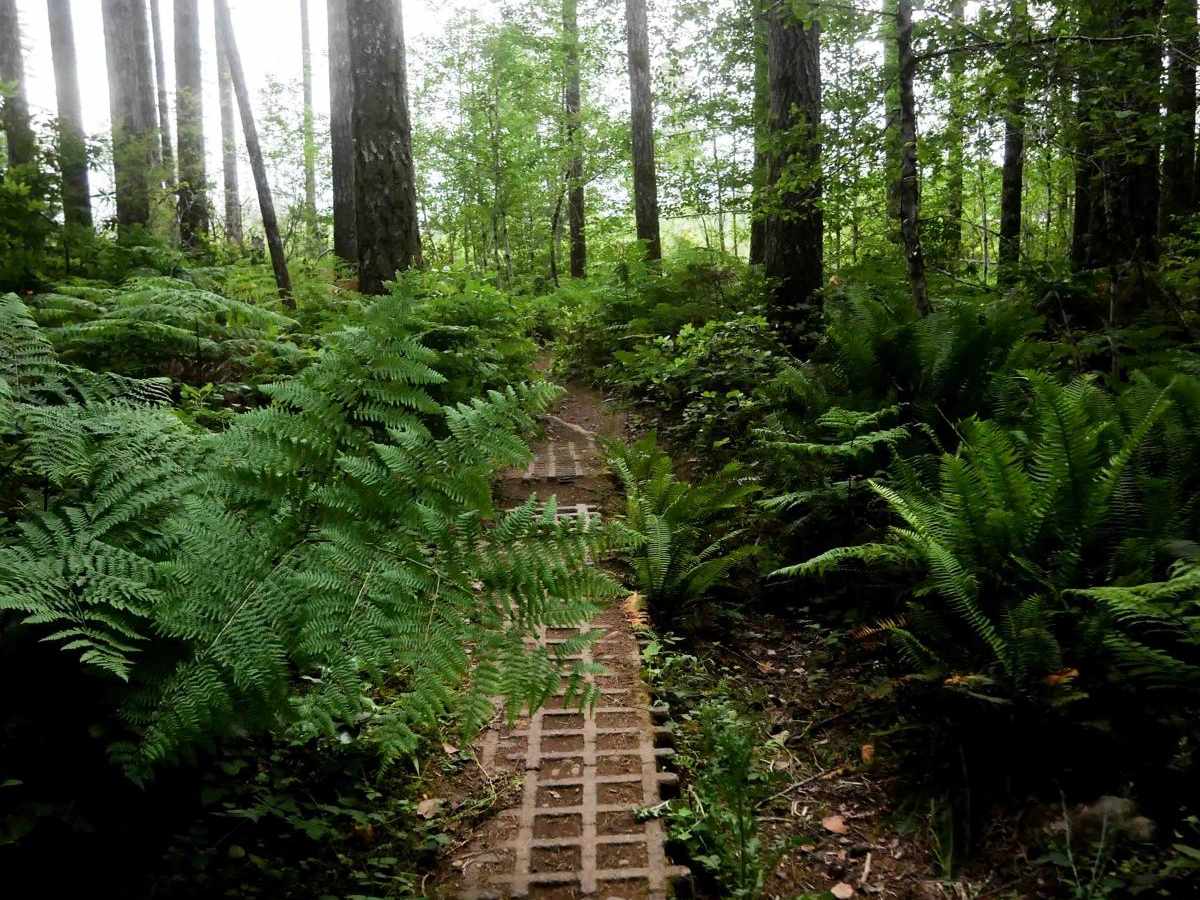 Northwest Passage trail photo