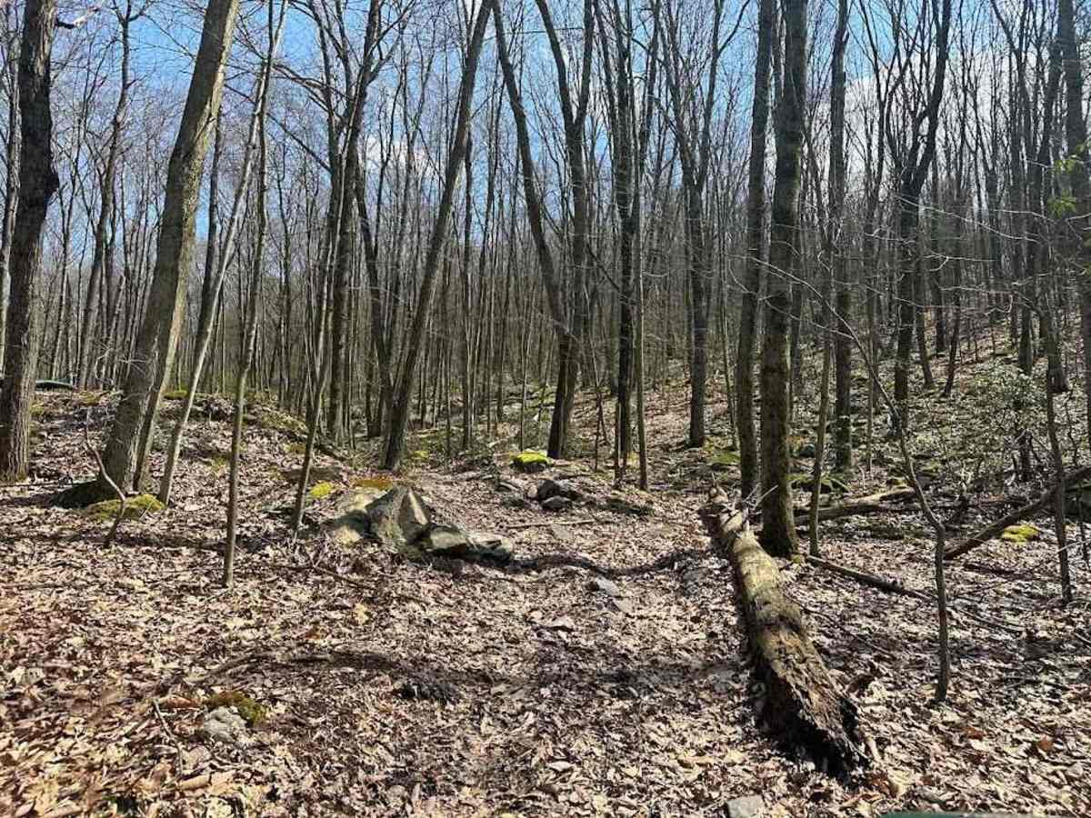 Ashland 124 trail photo