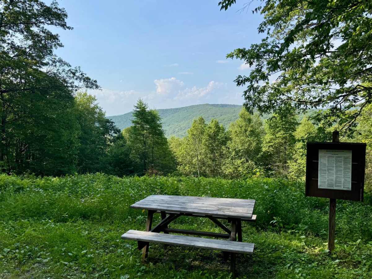 Trout Run Road trail photo
