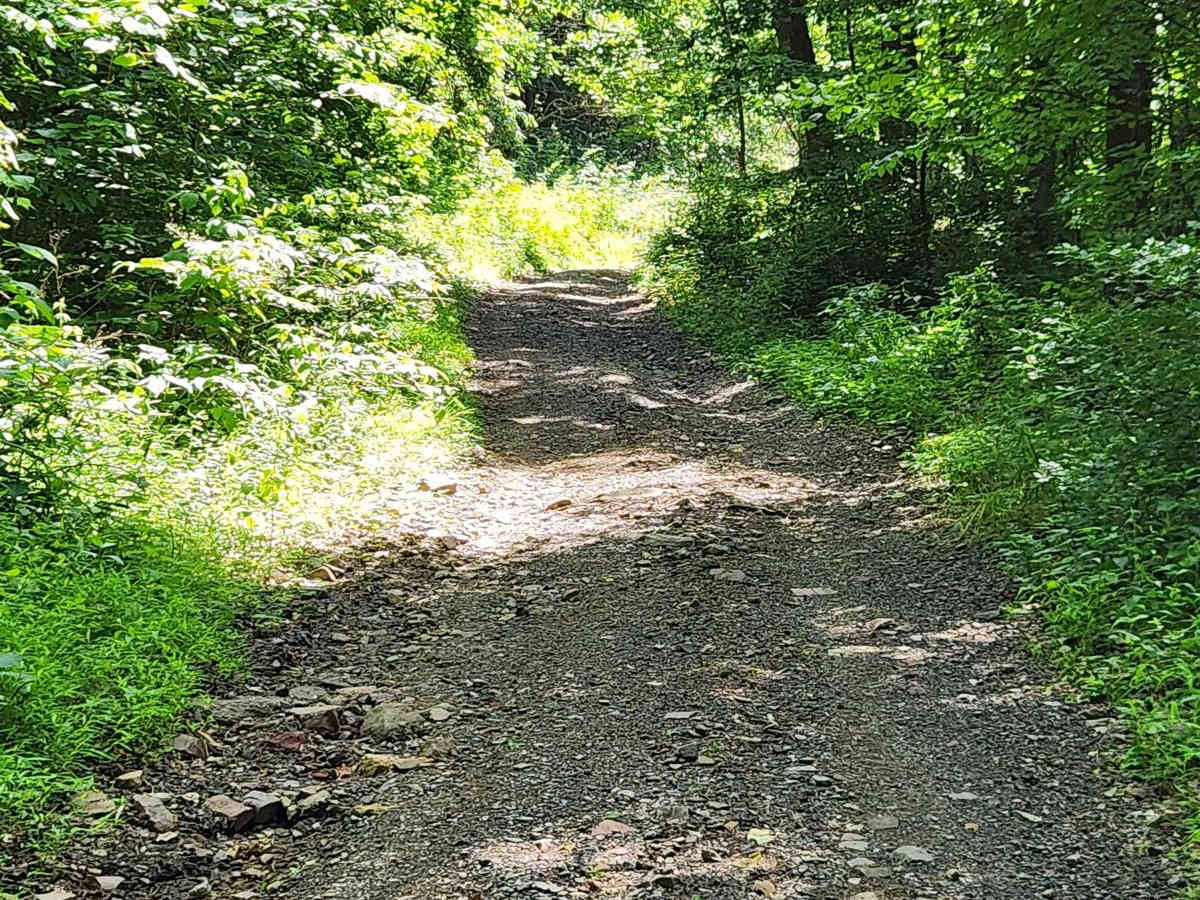 Trail 6 - Rock Run Recreation Area photo 5