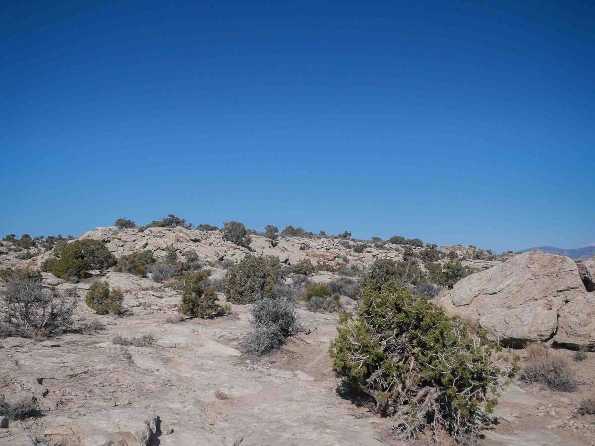 Lost Spring Wash trail photo