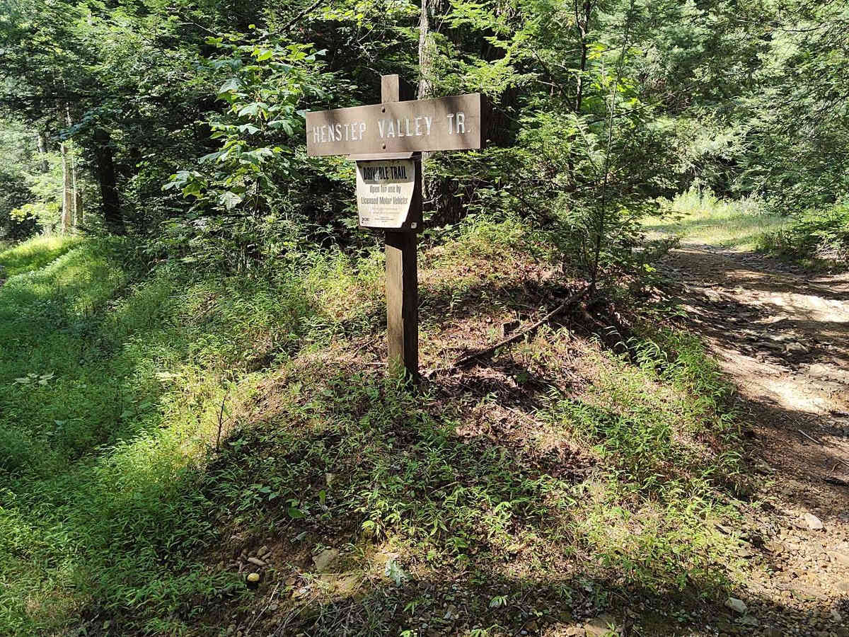 Middle Ridge Trail - Single Track trail photo