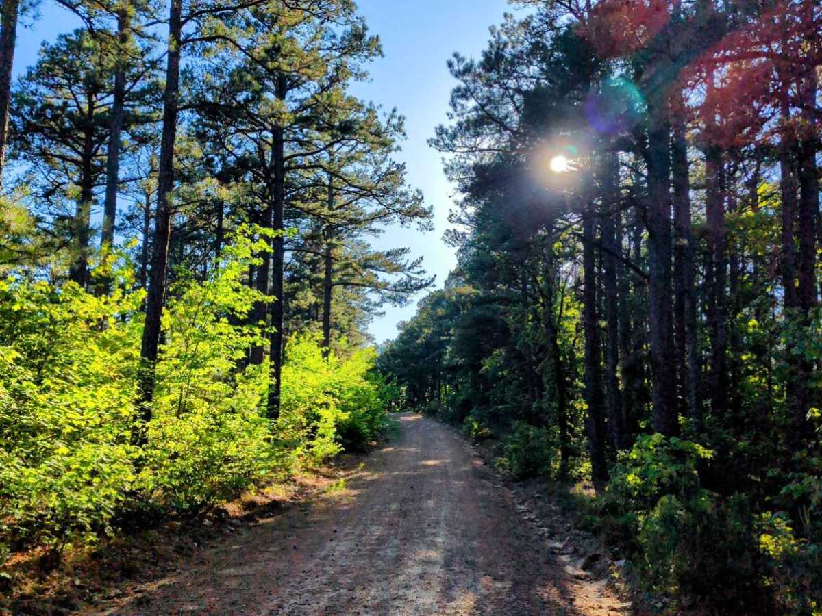 Page Smithville Route: OHV Trail 6007 photo 2
