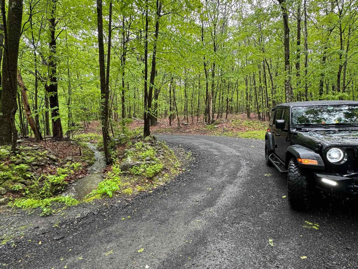 Denman Mountain Rd photo 4