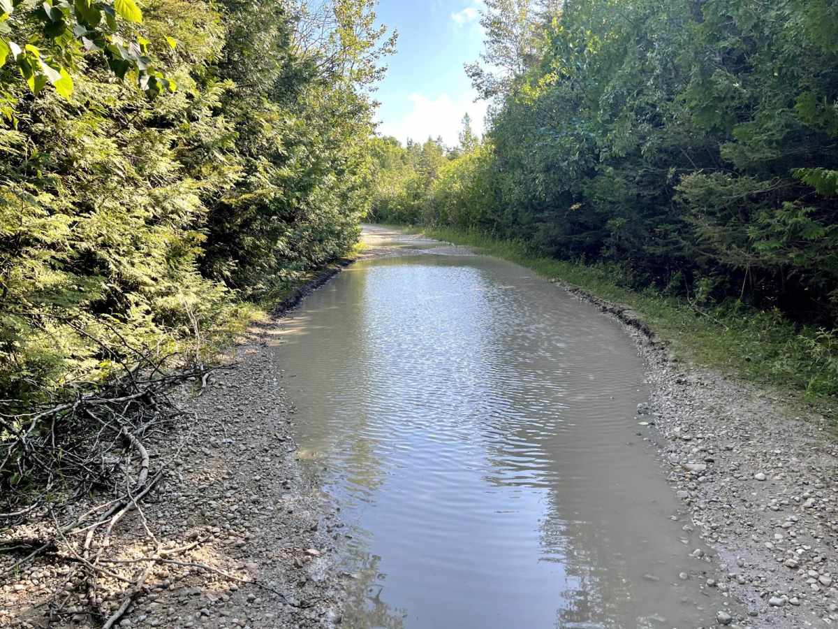 Gamble Lake Trail photo 3