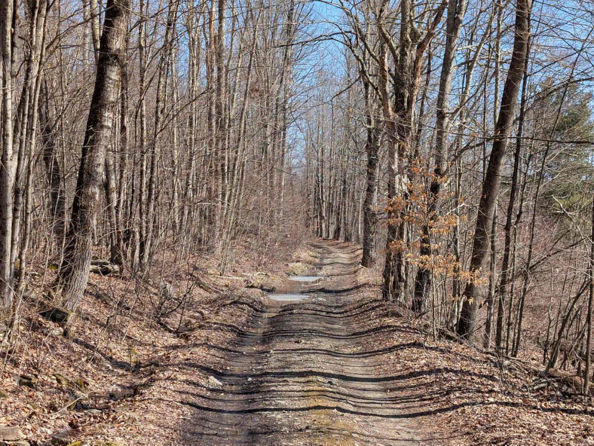 Salt Springs Road photo 3