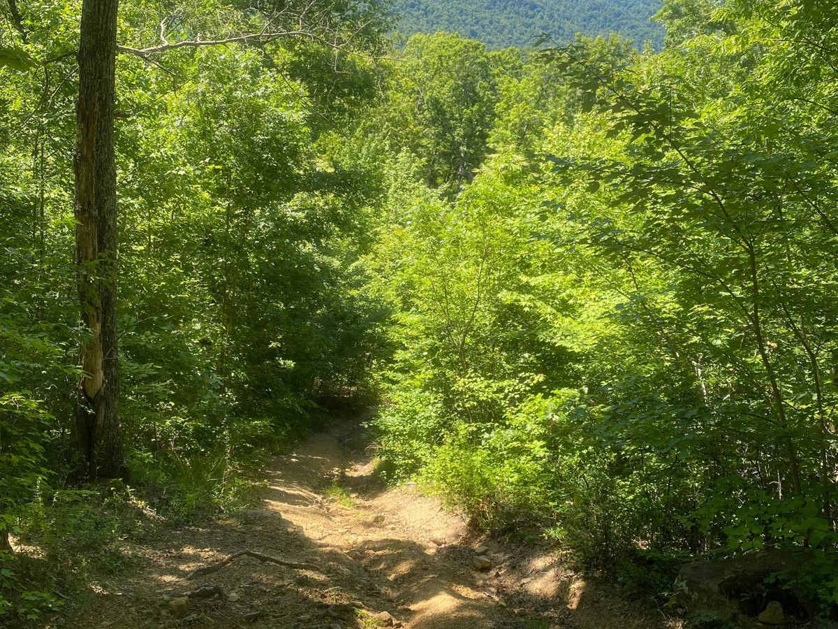 Trail 6 photo 3