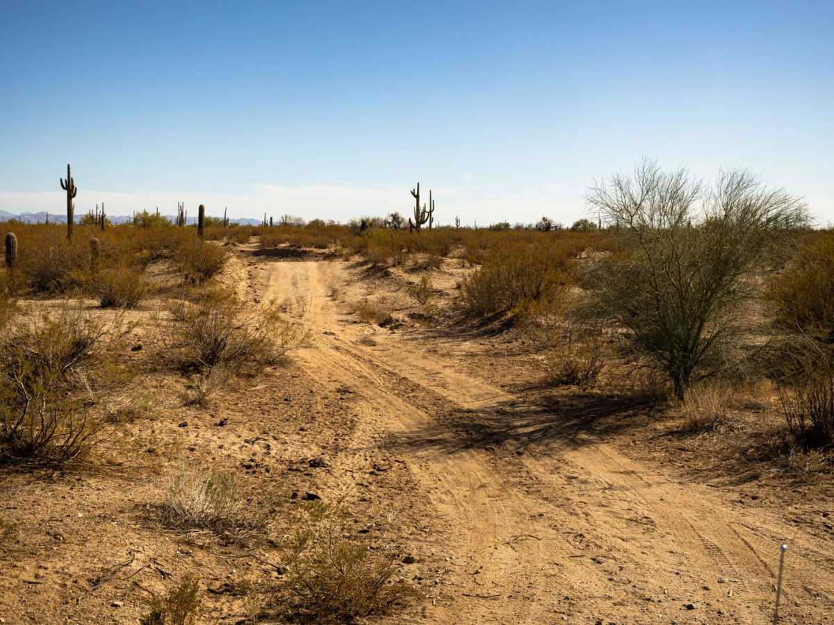 Quick Speed Bump trail photo