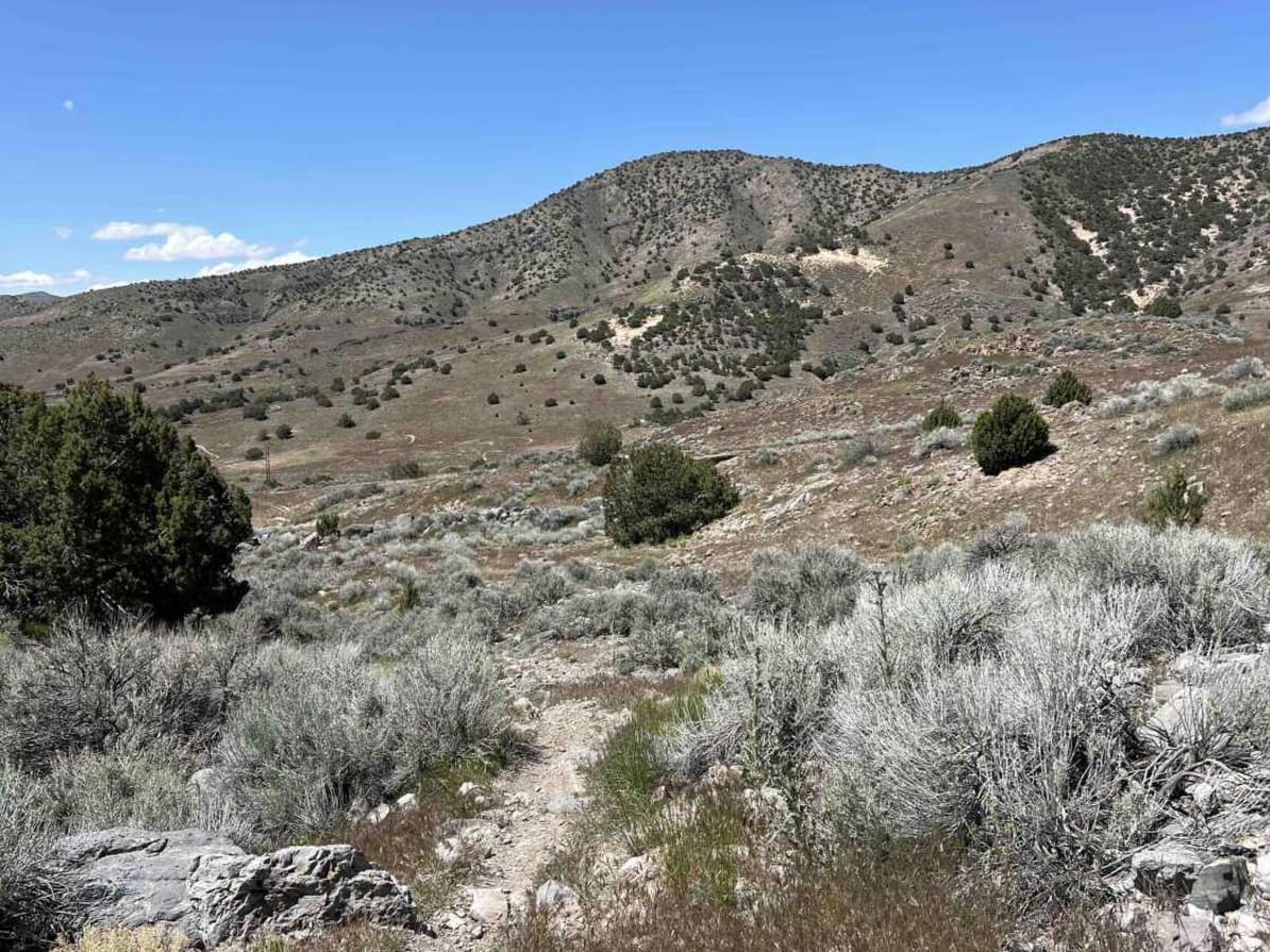 Foothills photo 4
