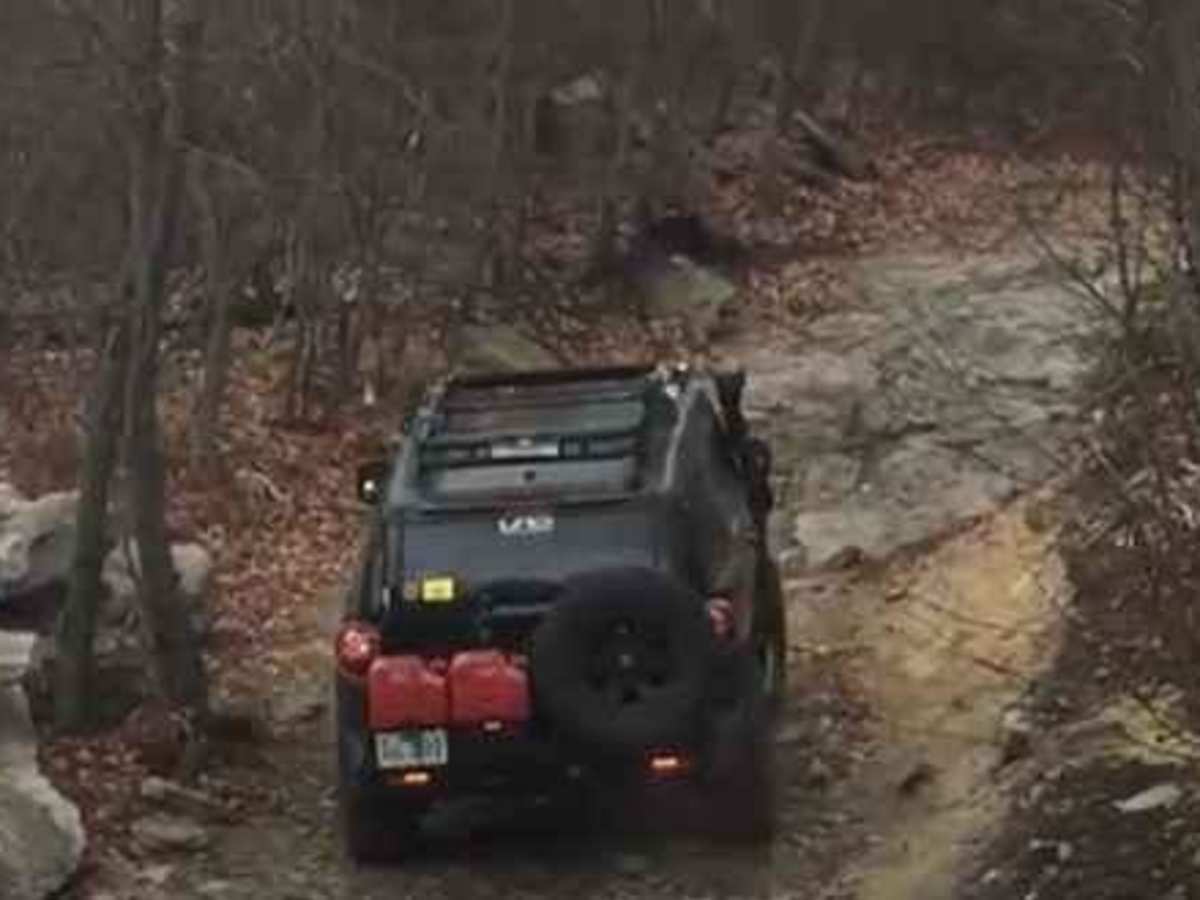 Jotters Black trail photo