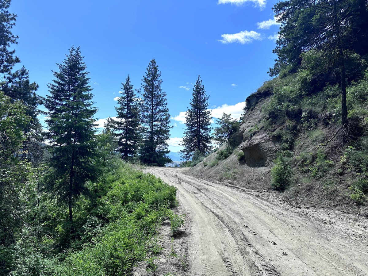 Derby Canyon Road photo 4