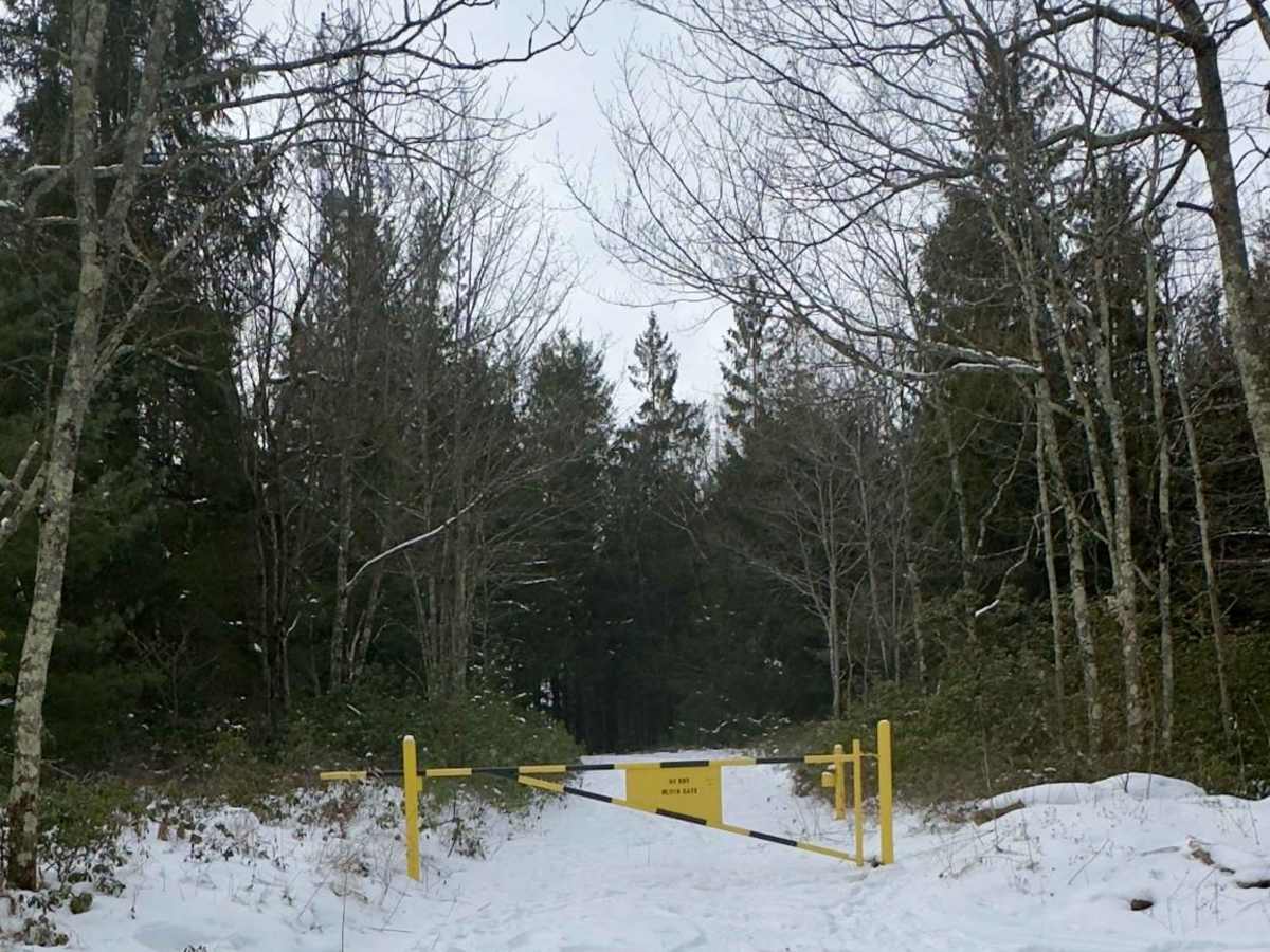 Round Top Road photo 5
